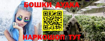 сатива Комсомольск-на-Амуре