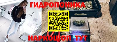 твердый Коммунар