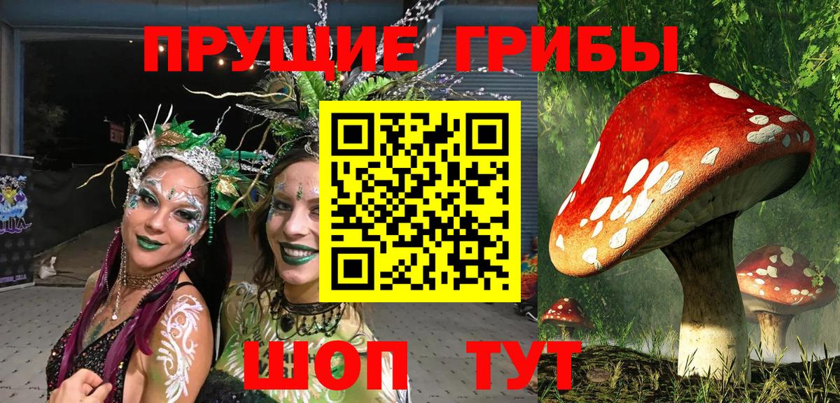 Ессентуки  Псилоцибиновые грибы ЛСД  Вход с VPN 